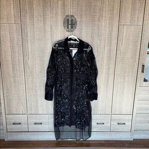 Zara Semi-Sheer Embroidered Dress